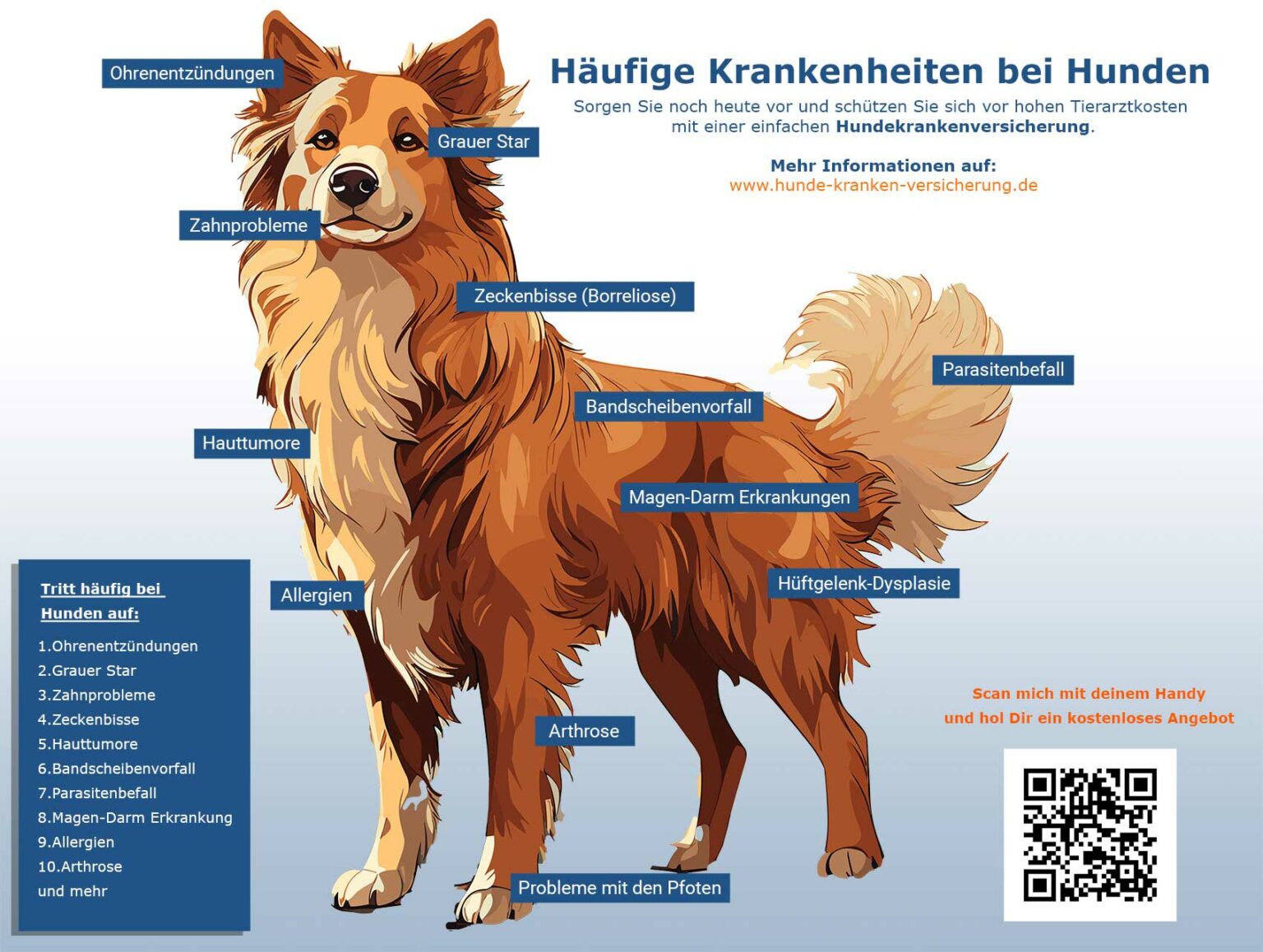 Haeufige-Hundekrankheiten Infografik